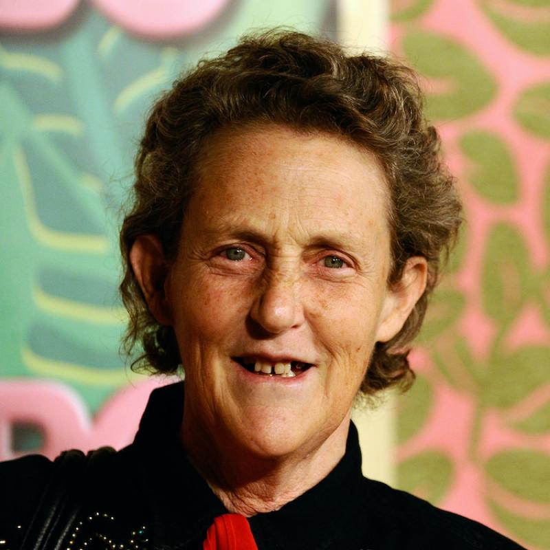 Scientist and animal behaviorist Temple Grandin